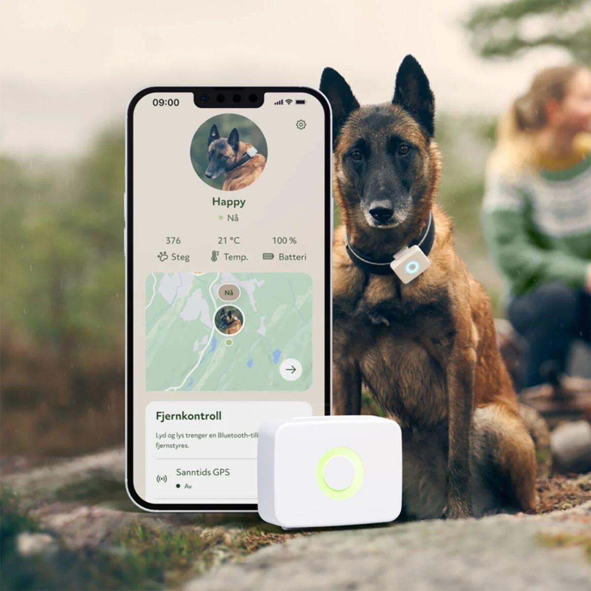 LilDog GPS-tracker monterad på hundhalsband med tillhörande app